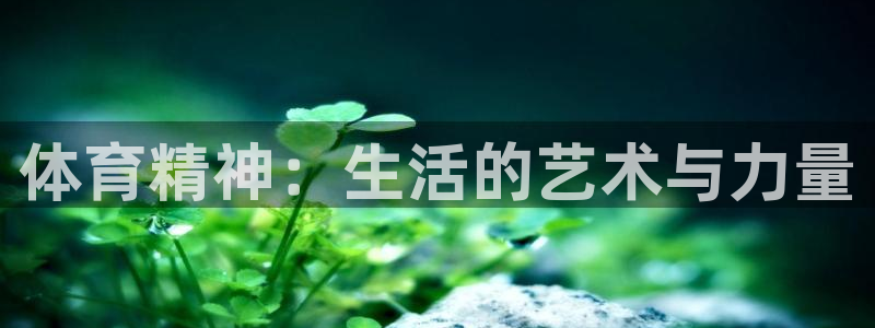 米兰体育官网下载平台APP:体育精神:生活的艺术与力量