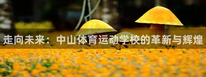 米兰体育官方正版app开户:走向未来:中山体育运动学校的革新
