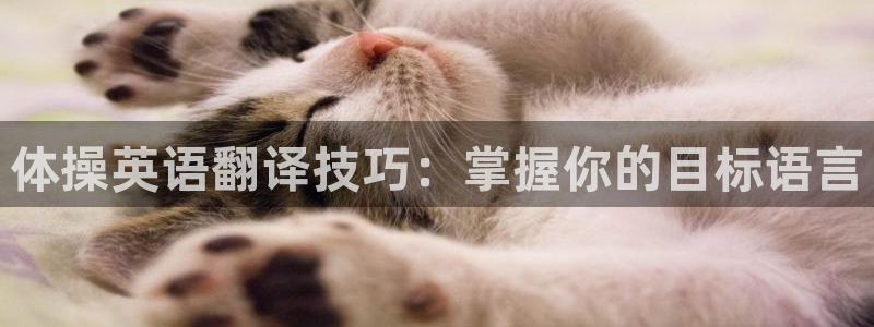 米兰体育官方正版app集团:体操英语翻译技巧:掌握你的目标语